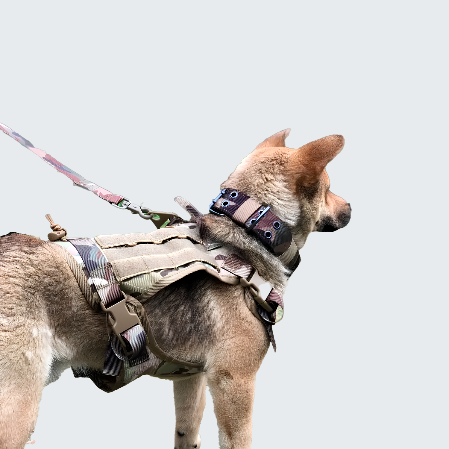 【中・大型犬の強い引きも確実制御・極厚パッドで愛犬の体を優しく守る】Sakamping K9 犬用 タクティカルハーネス リードセット | 高耐久・クッション構造・抜け出し防止 | キャンプ・アウトドア・毎日の散歩 | 1年保証付