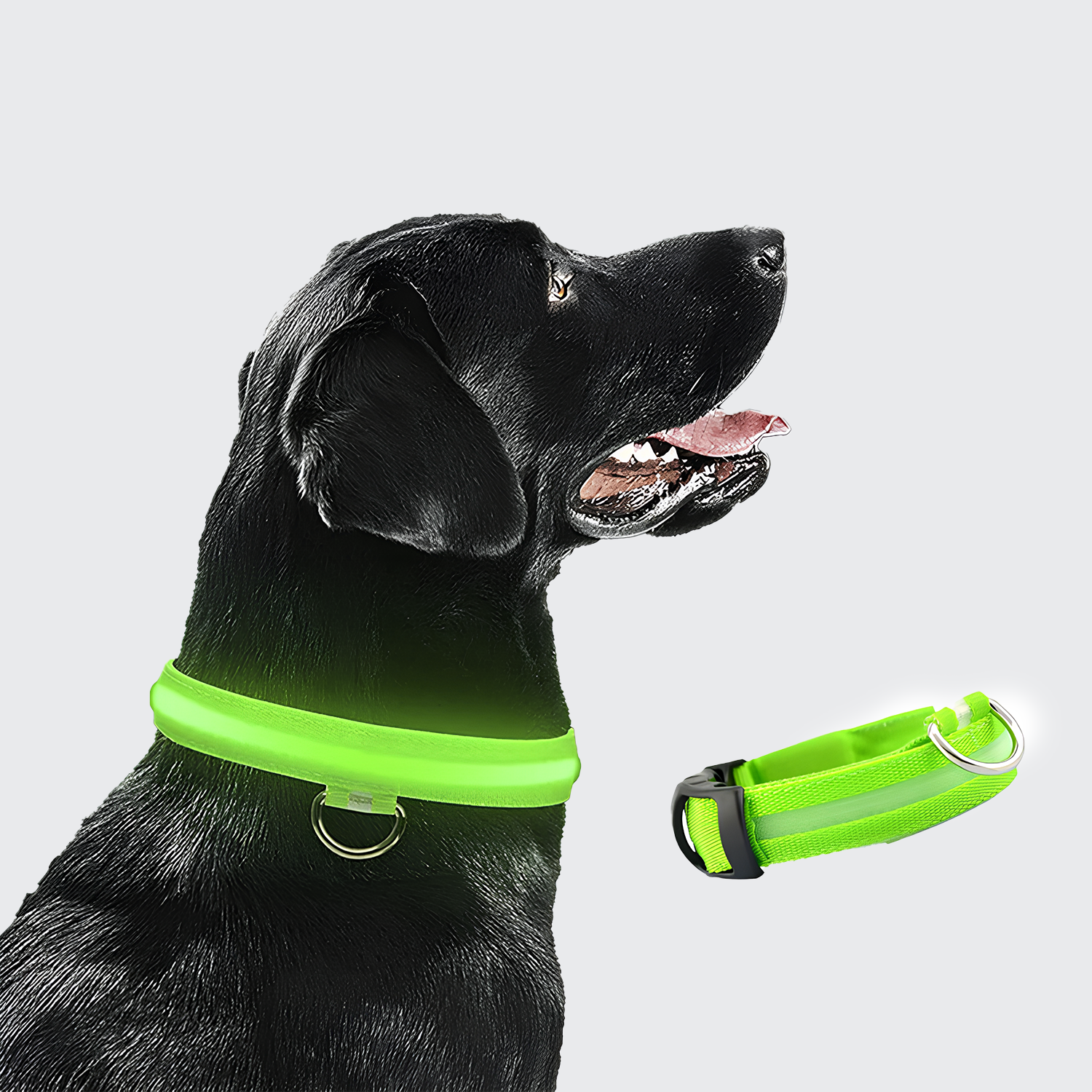 【暗闇でも愛犬の安全を確実に守る・圧倒的な視認性と高耐久ナイロン】Sakamping LED セキュア 犬用カラー | USB充電式・超高輝度・悪天候対応 | 毎日の夜散歩・キャンプ・アウトドア | 1年保証付