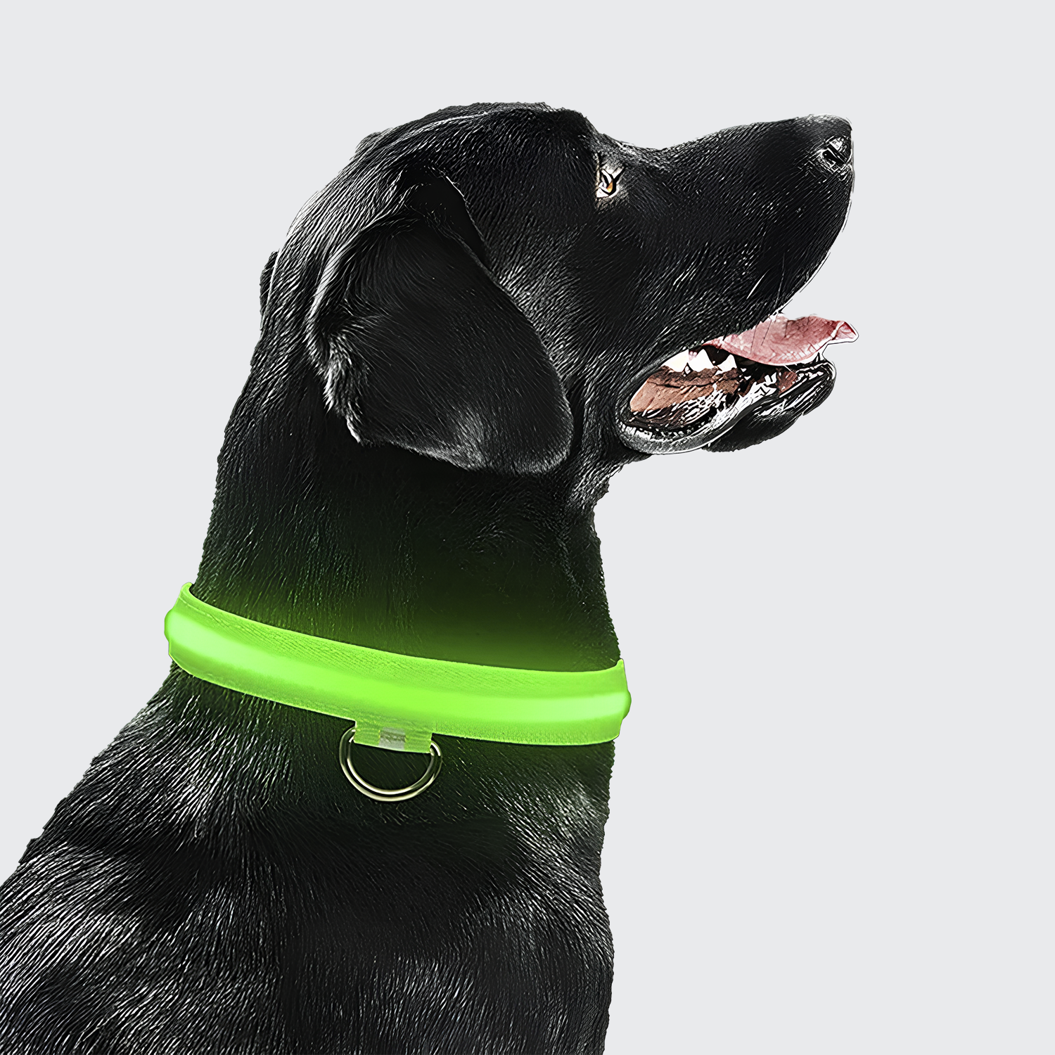 【暗闇でも愛犬の安全を確実に守る・圧倒的な視認性と高耐久ナイロン】Sakamping LED セキュア 犬用カラー | USB充電式・超高輝度・悪天候対応 | 毎日の夜散歩・キャンプ・アウトドア | 1年保証付