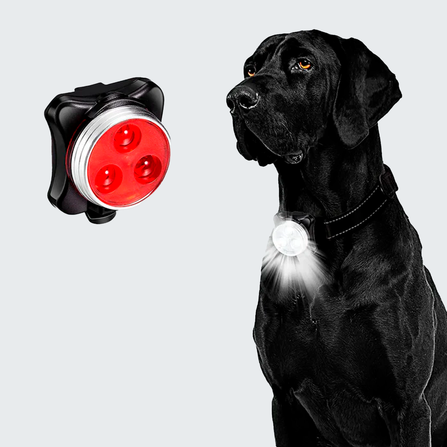 LED犬用首輪ライト USB充電式 防水 4モード 夜間安心散歩に最適 高輝度で視認性抜群 軽量設計 ペットオーナー必携