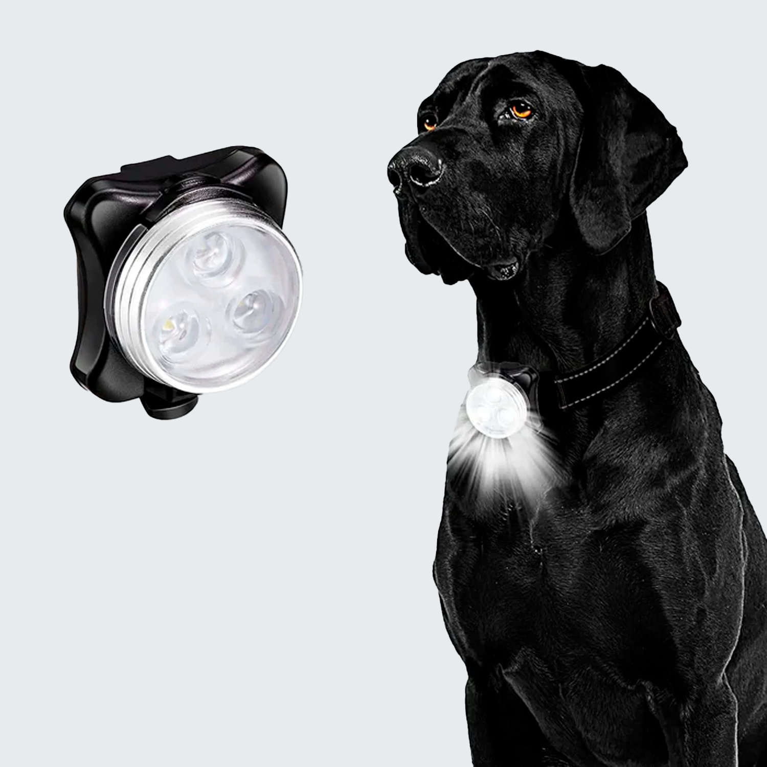 LED犬用首輪ライト USB充電式 防水 4モード 夜間安心散歩に最適 高輝度で視認性抜群 軽量設計 ペットオーナー必携